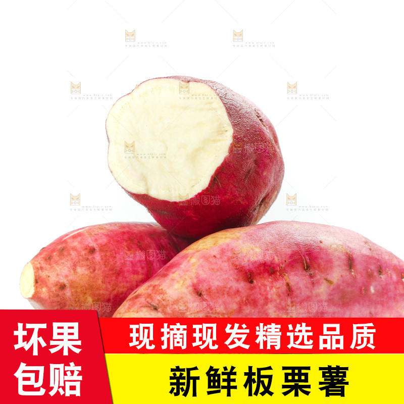 白底上的白心板栗红薯