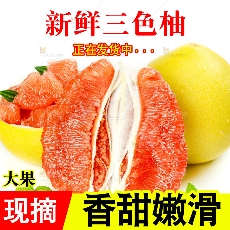 白底上的三色柚子