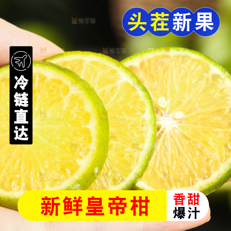 手上拿着贡柑