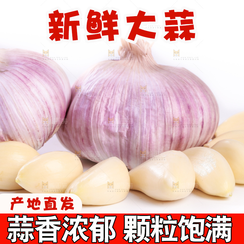 白底上的大蒜头和蒜瓣