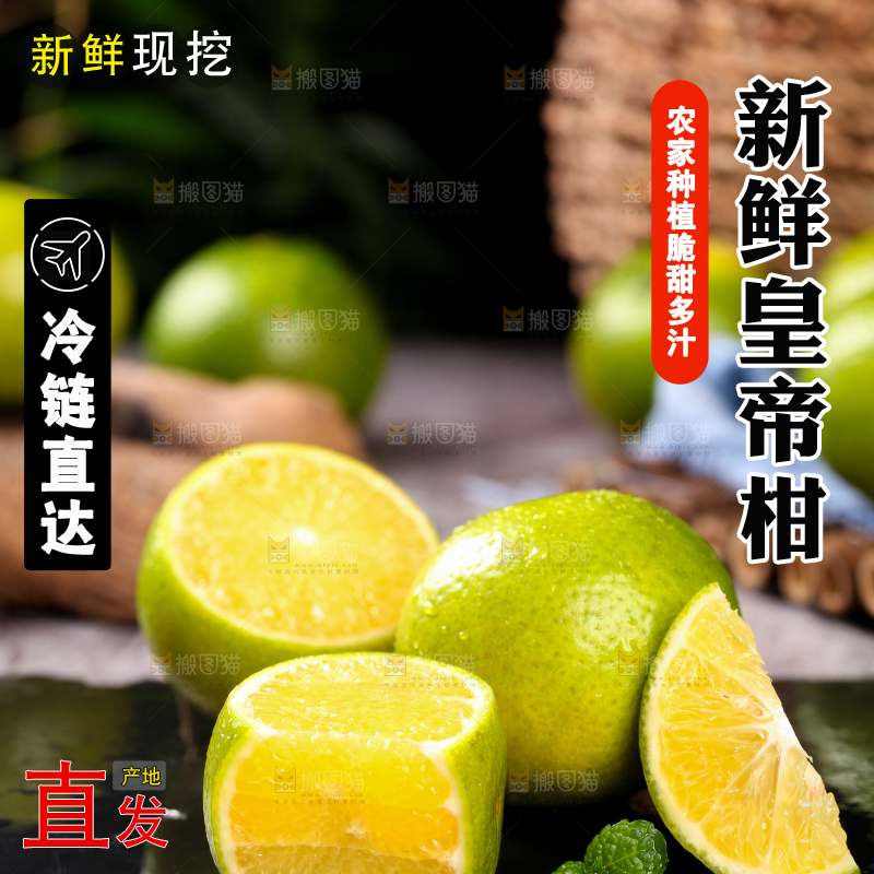 黑底上的皇帝柑果肉