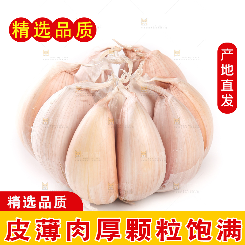 白底上的大蒜头