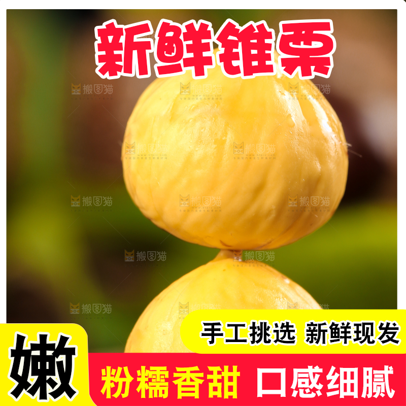 木底上放着锥栗仁