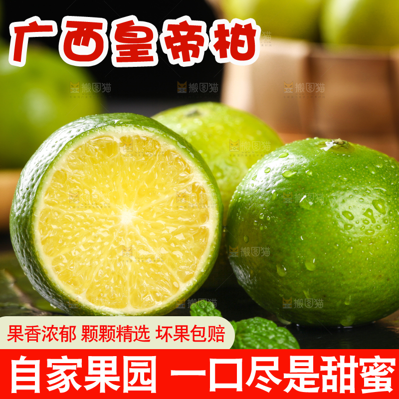 黑底上的广西皇帝柑