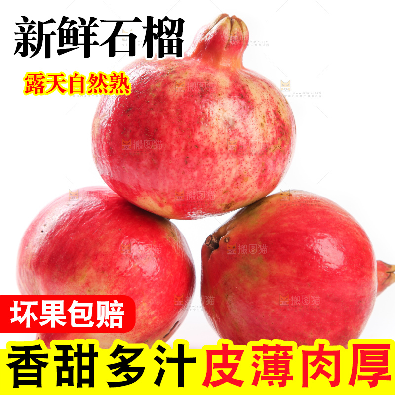 白底上放着突尼斯软籽石榴