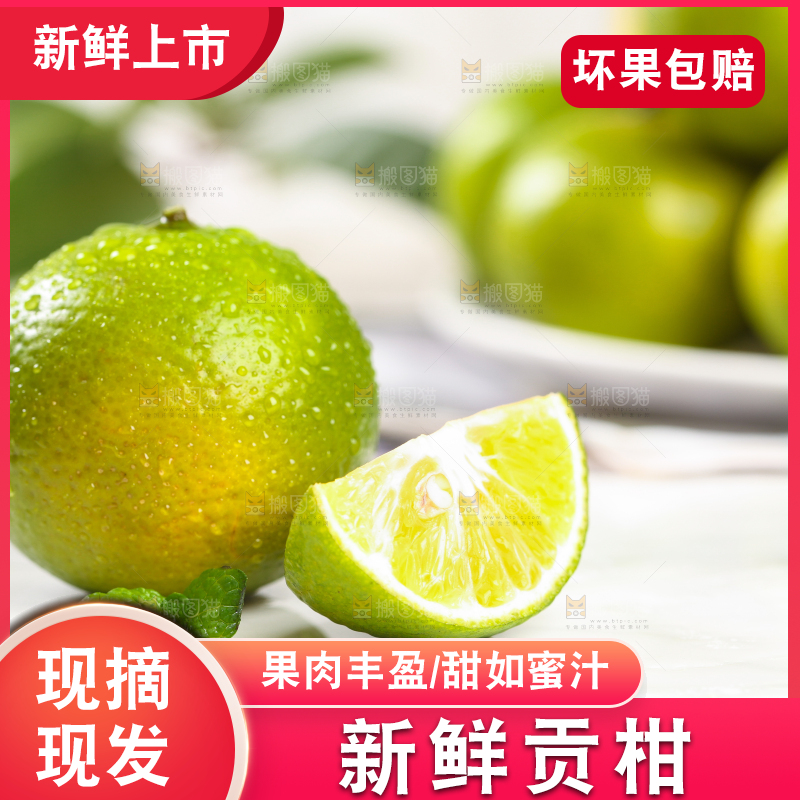 白底上的武鸣皇帝柑