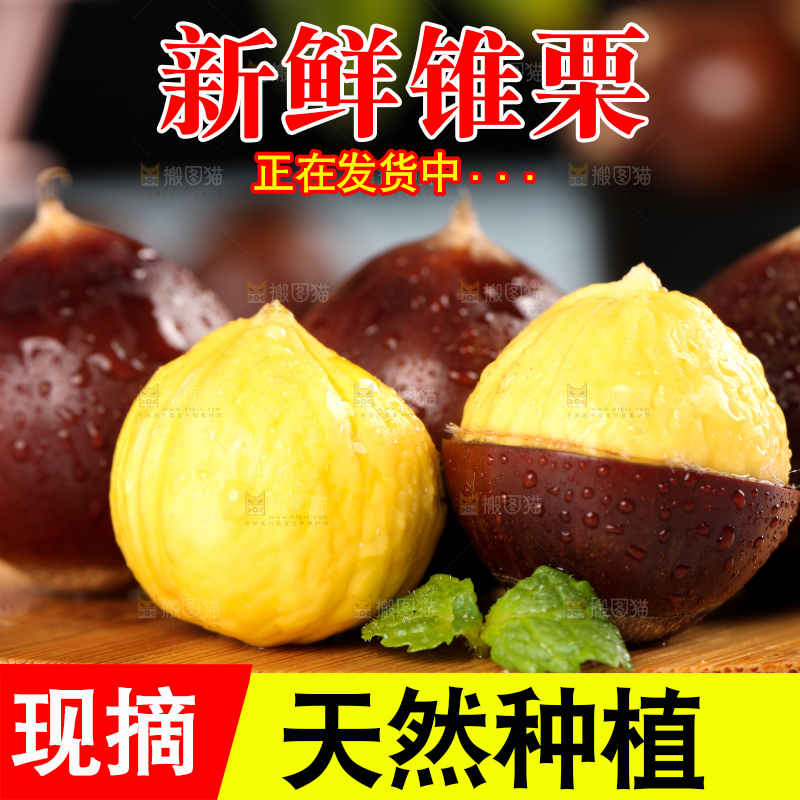 木板上的锥子栗
