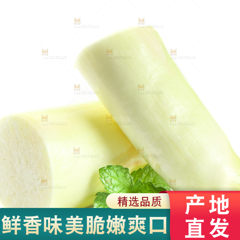 白底上的茭笋