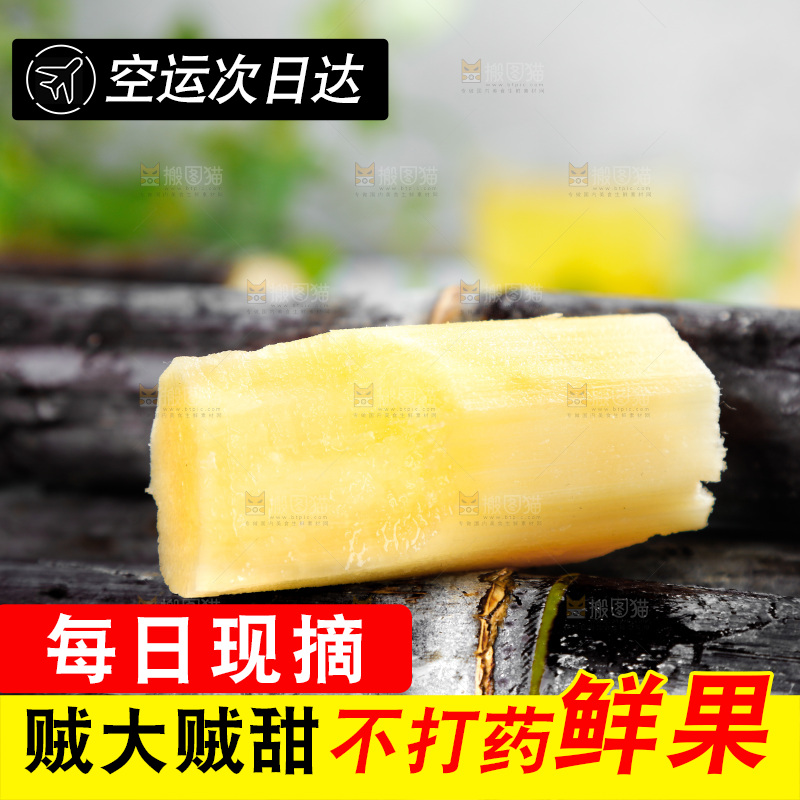 一堆新鲜的甘蔗