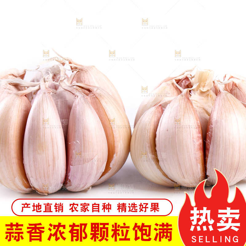 白底上的干大蒜