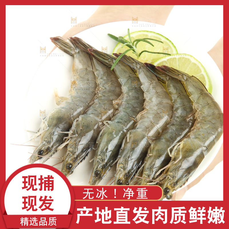 手上端着一盘大连渤海虾