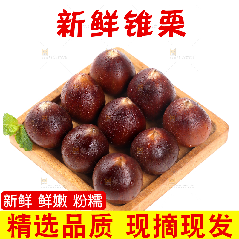 白底上放着锥栗和锥栗仁