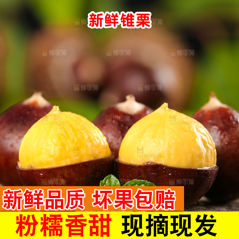 木底上放着锥栗
