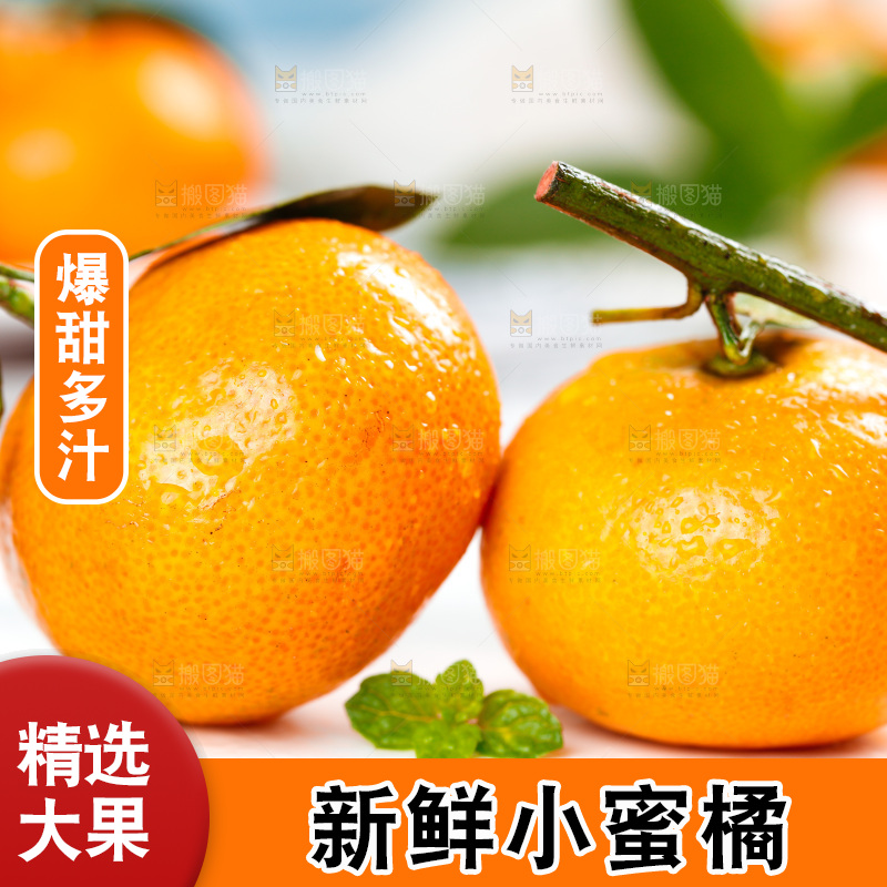 白底上的砂糖桔