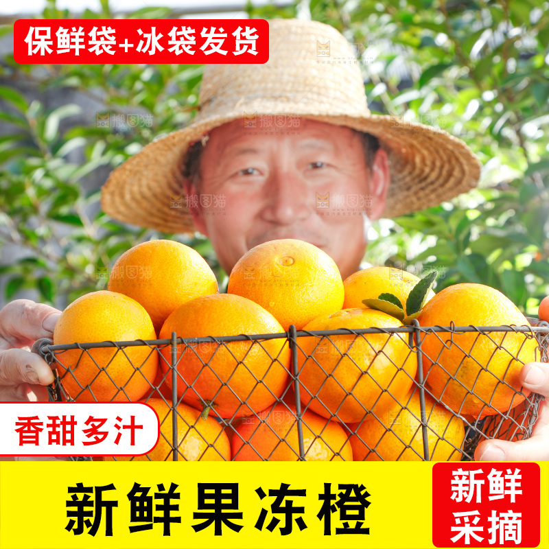 农民手上端着一篮果冻橙