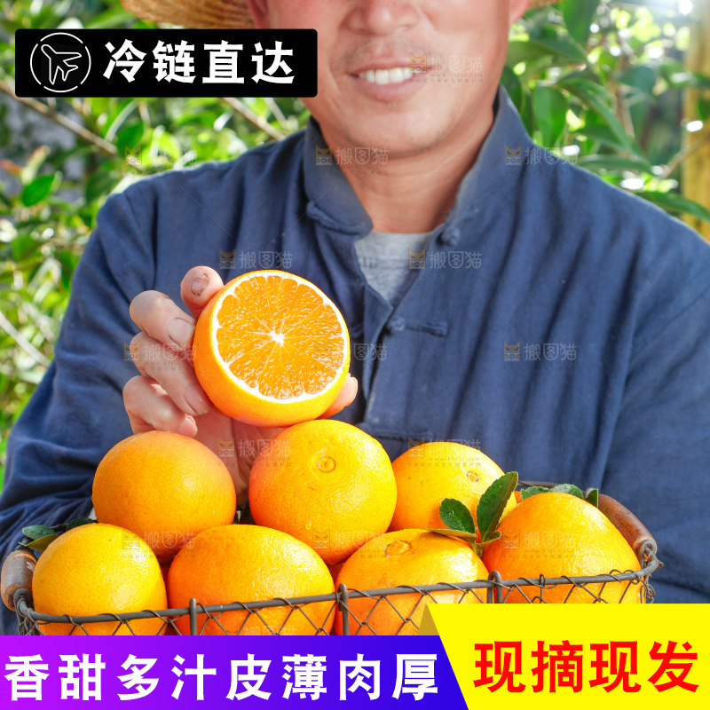 农民手上端着一篮果冻橙
