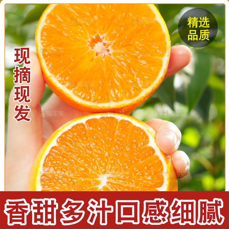 手上拿着切面的爱媛38号