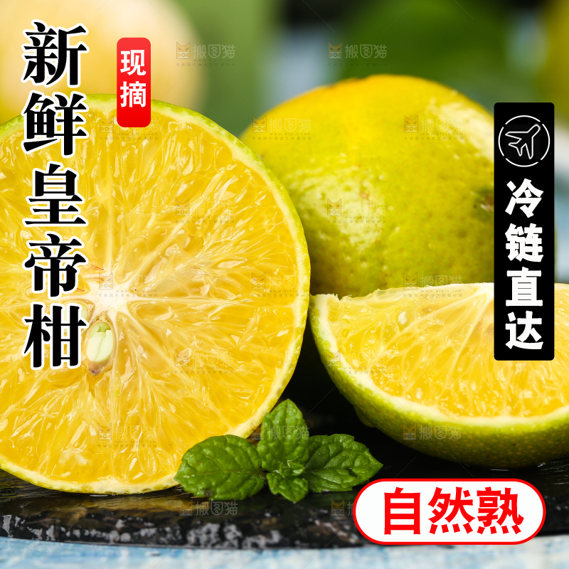 黑底上的广西皇帝柑