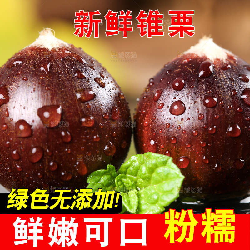 黑底上放着鲜锥栗