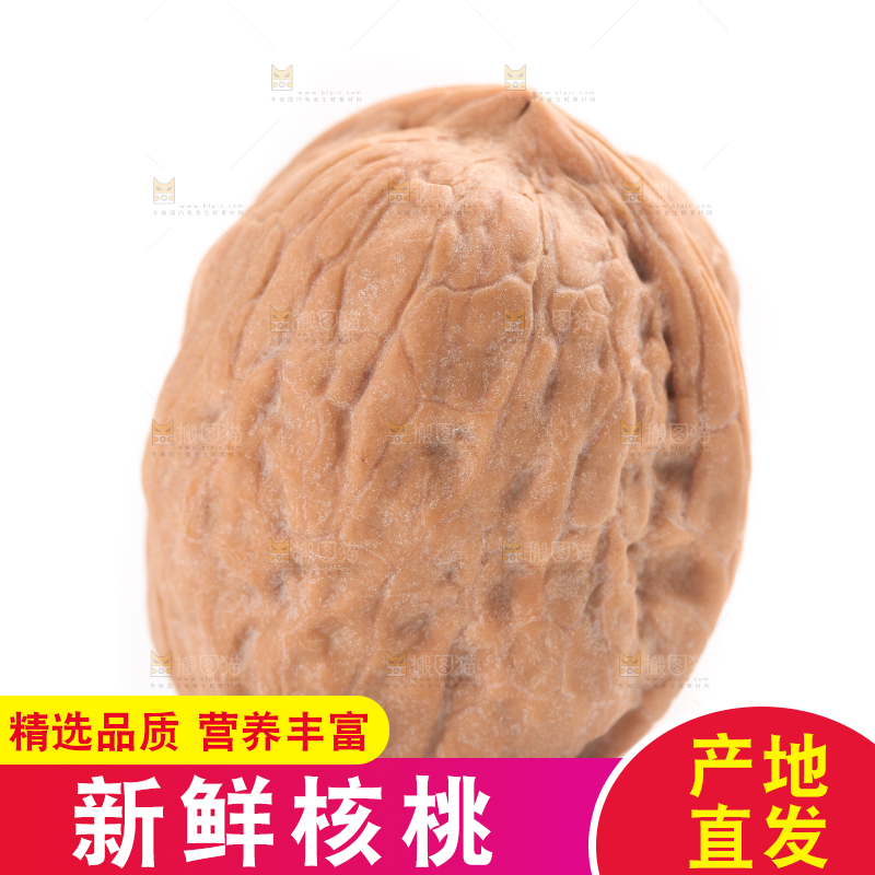 白底上放着一个核桃