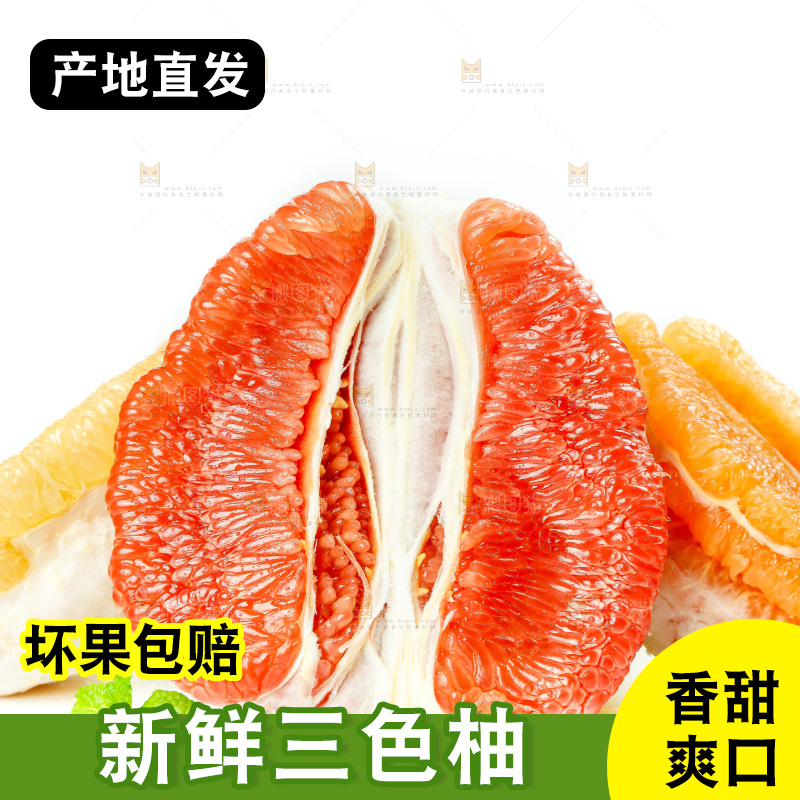 白底上的三色柚子