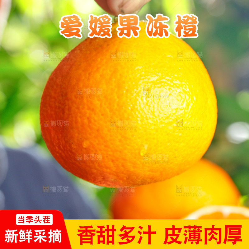 手上拿着四川爱媛果冻橙