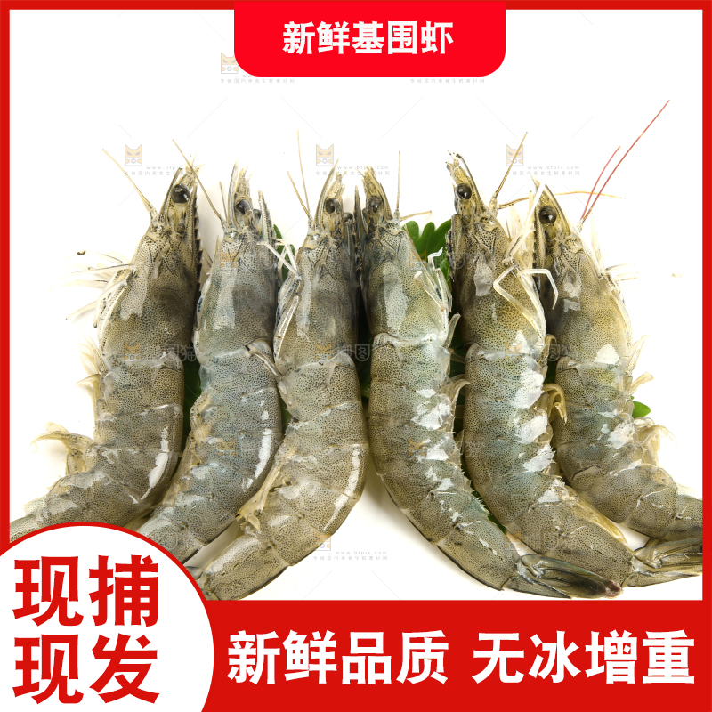 白底上放着对虾