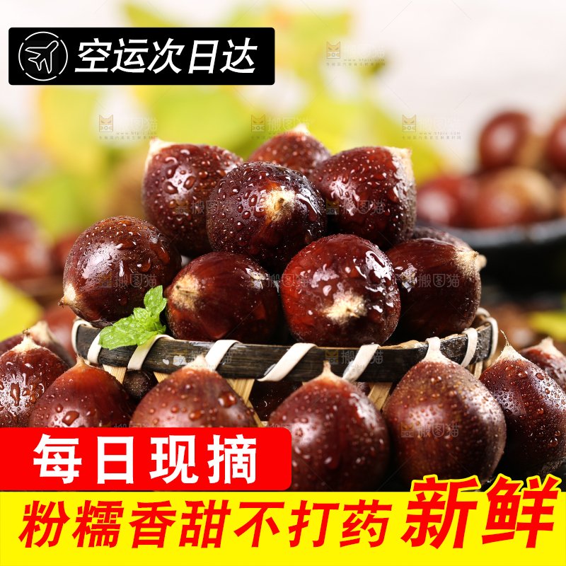 黑底上一篮建瓯锥栗