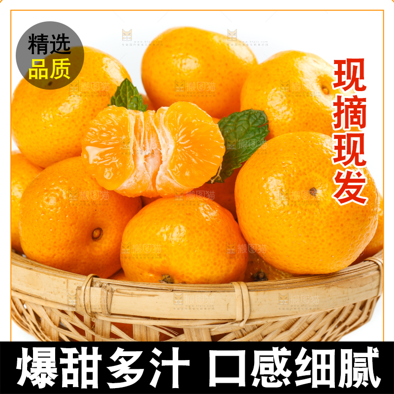 白底上放着一篮新鲜的广西砂糖橘