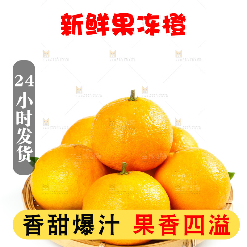 白底上篮子里的爱媛38号柑橘