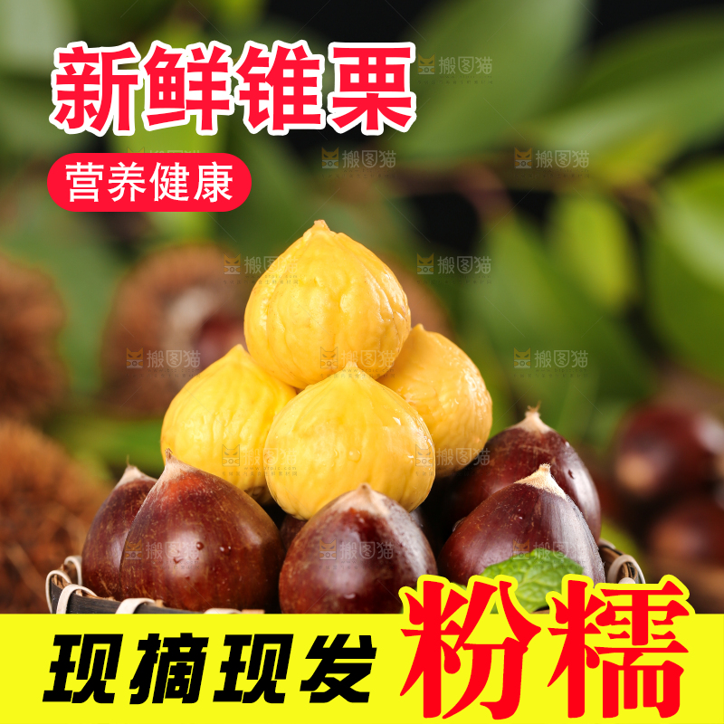 木底上篮子里的锥栗