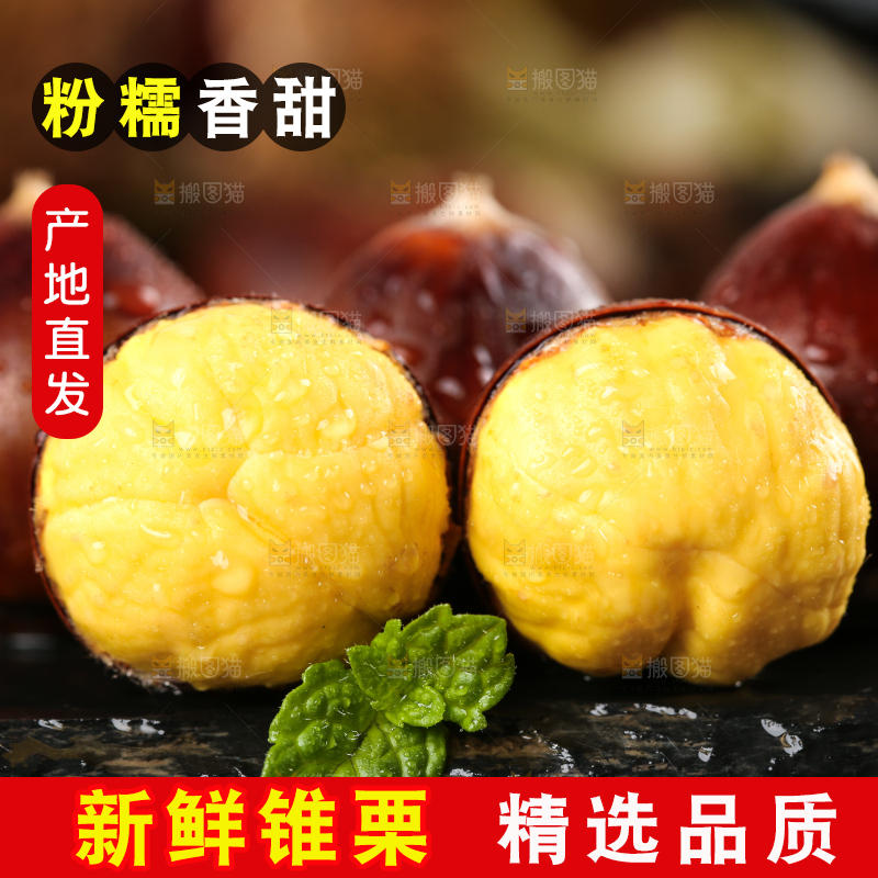 黑底上放着高山锥栗