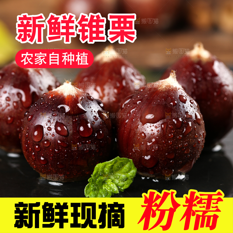 黑底上放着鲜锥栗