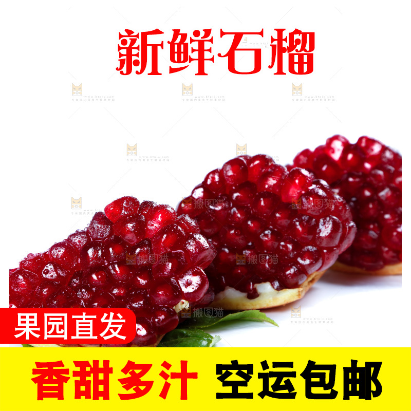 白底上的石榴籽