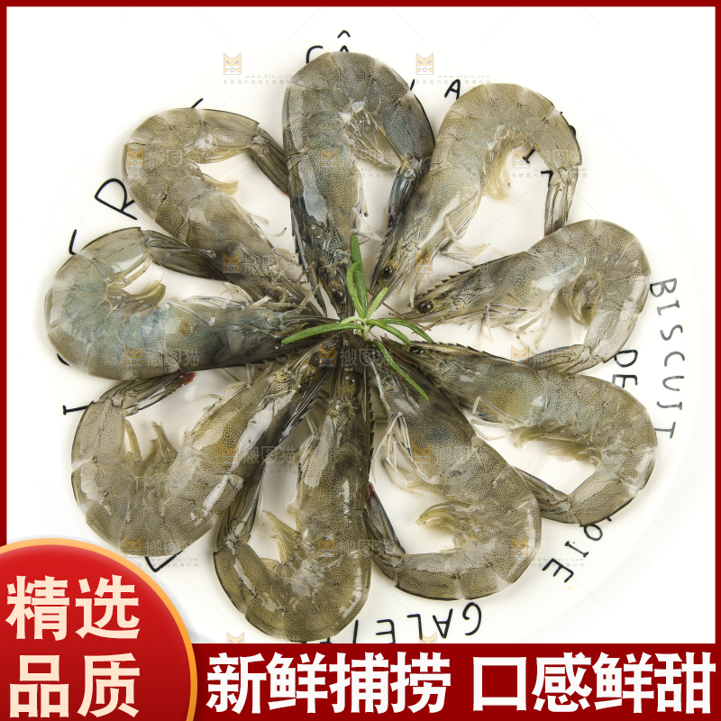 白底上一盘青岛大虾