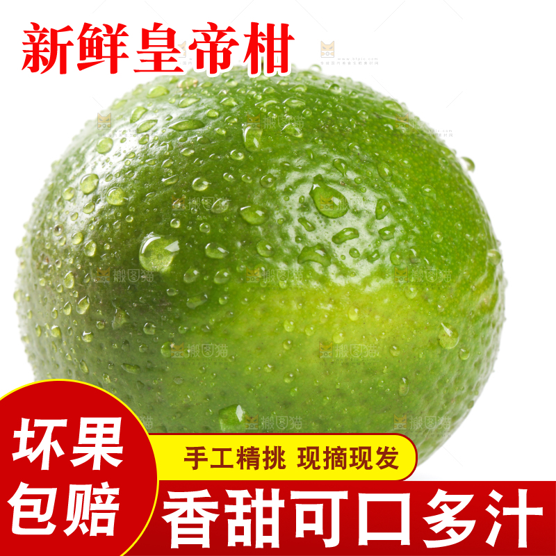 白底上的青皮皇帝柑
