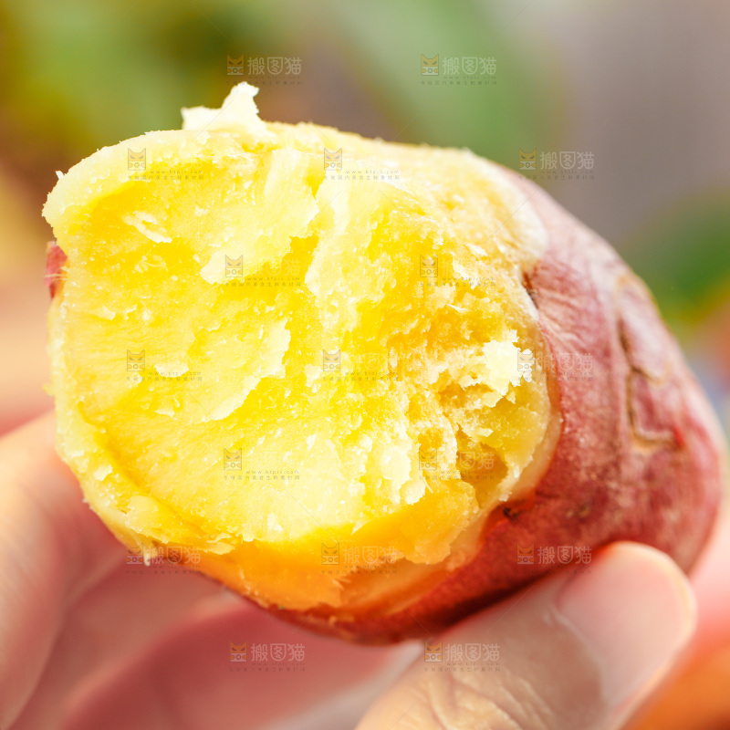 手上拿着黄心红薯