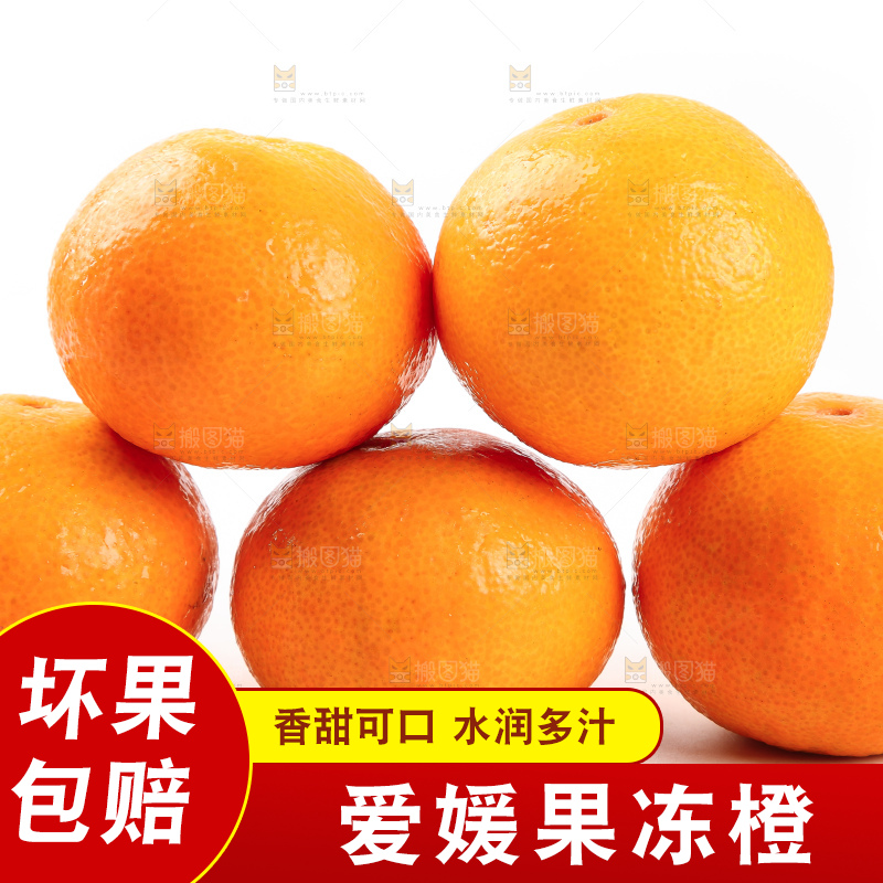 白底上一堆新鲜爱媛果冻橙