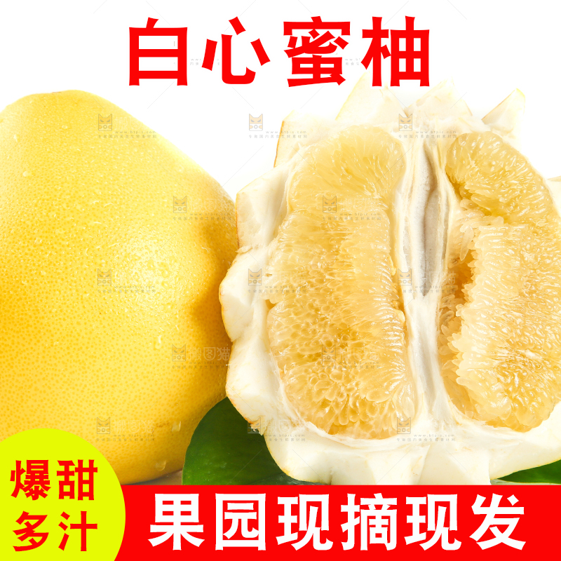白底上的白心蜜柚和柚子果肉