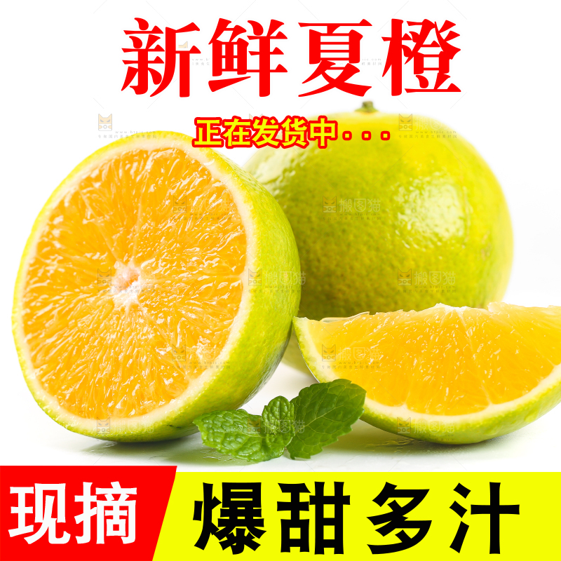 白底上的夏橙和禇橙果肉
