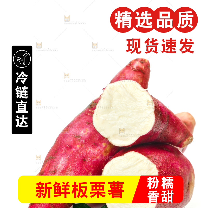 白底上的沙地板栗薯