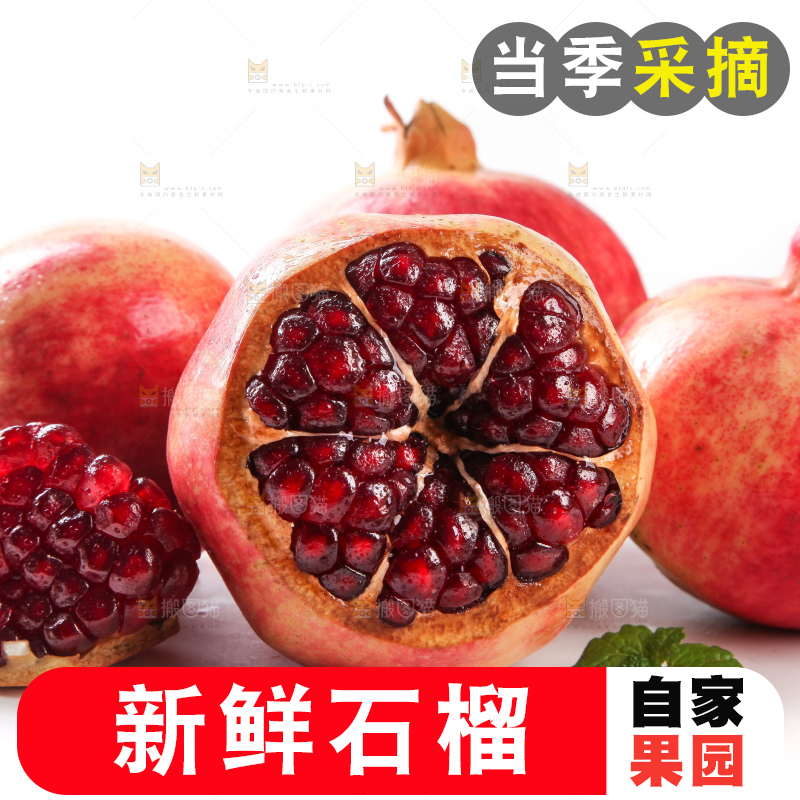 白底上的软籽石榴