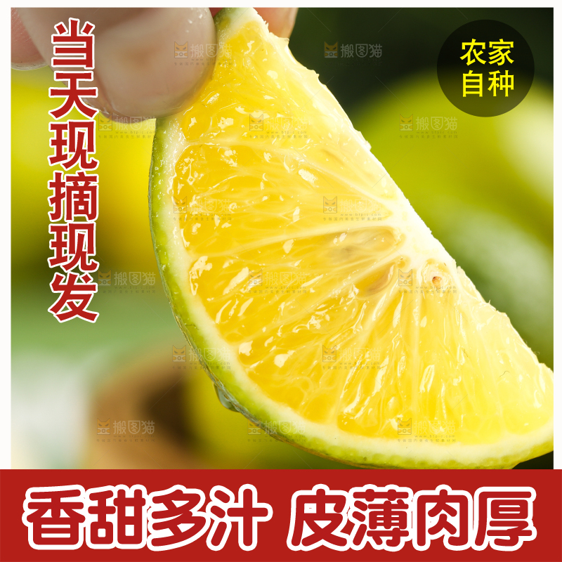 手上拿着皇帝柑