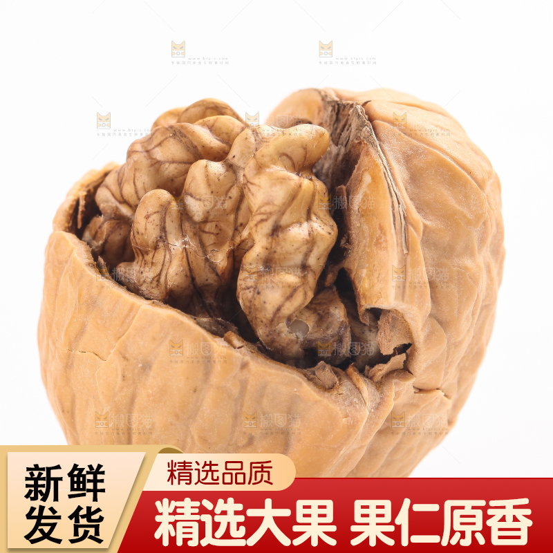 白底上放着一个核桃