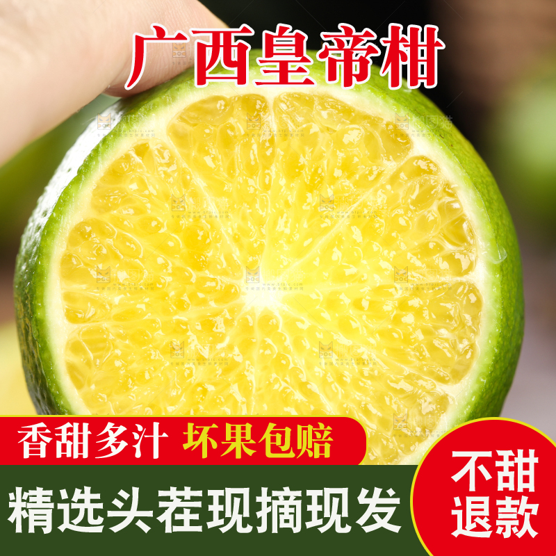 手上拿着贡柑