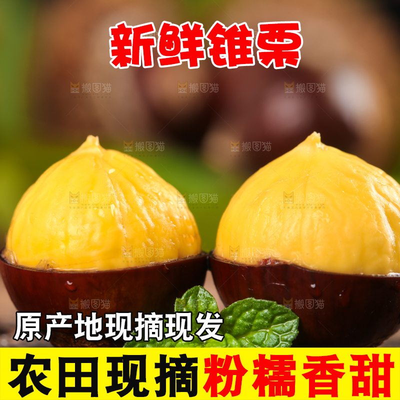 木底上放着锥栗仁