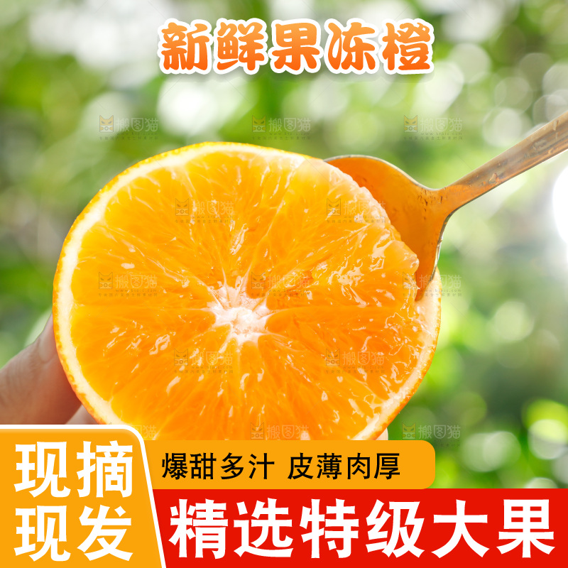 勺子挖着果冻橙果肉