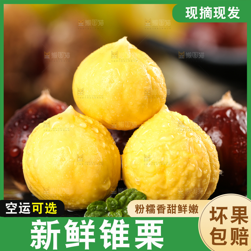黑底上放着锥栗仁