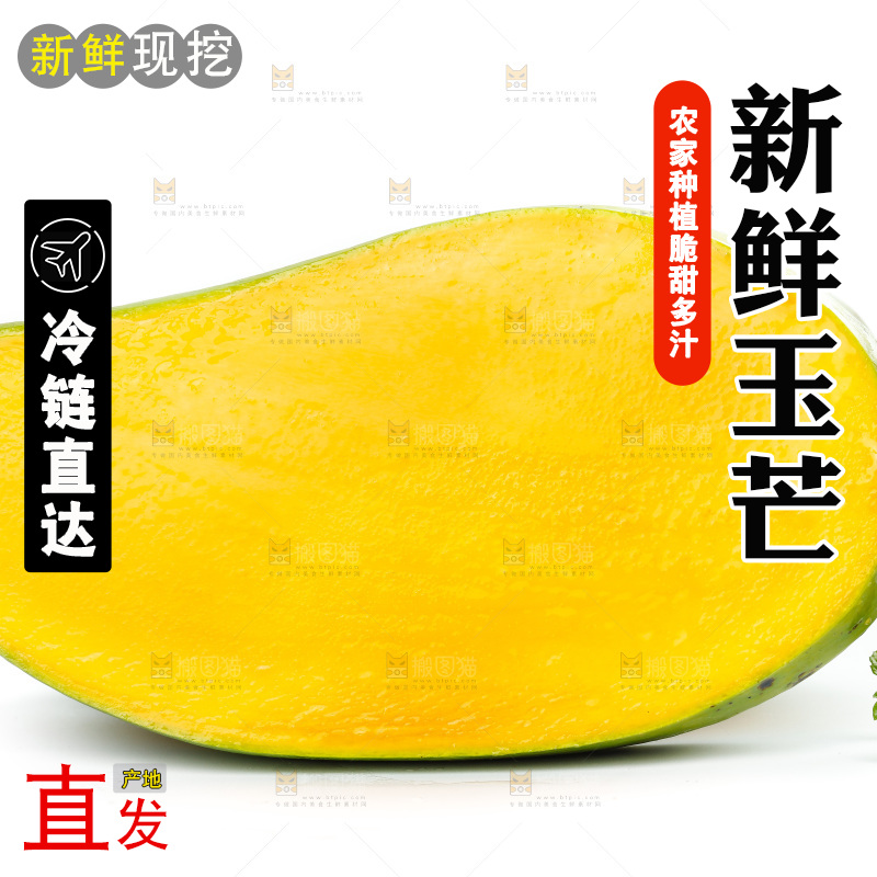 白底上的玉芒果