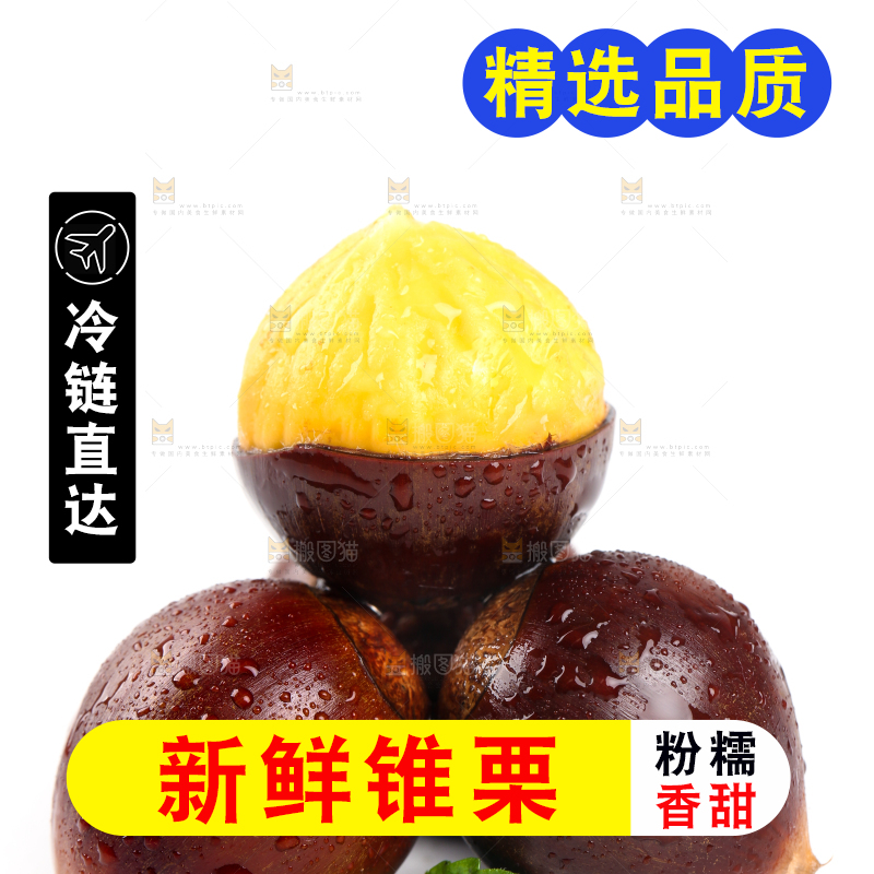 白底上放着高山锥栗